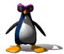 Pinguin01